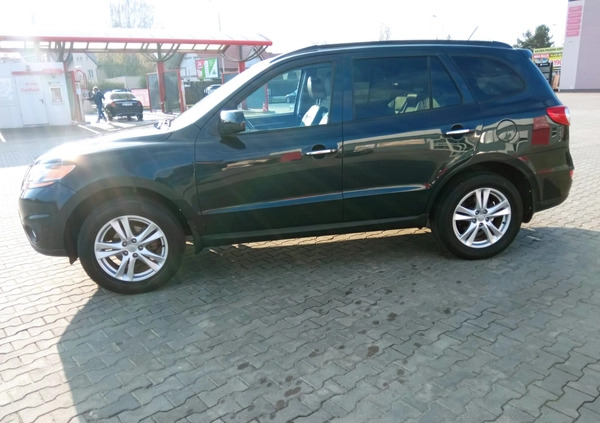 Hyundai Santa Fe cena 41900 przebieg: 176436, rok produkcji 2011 z Oleśnica małe 121